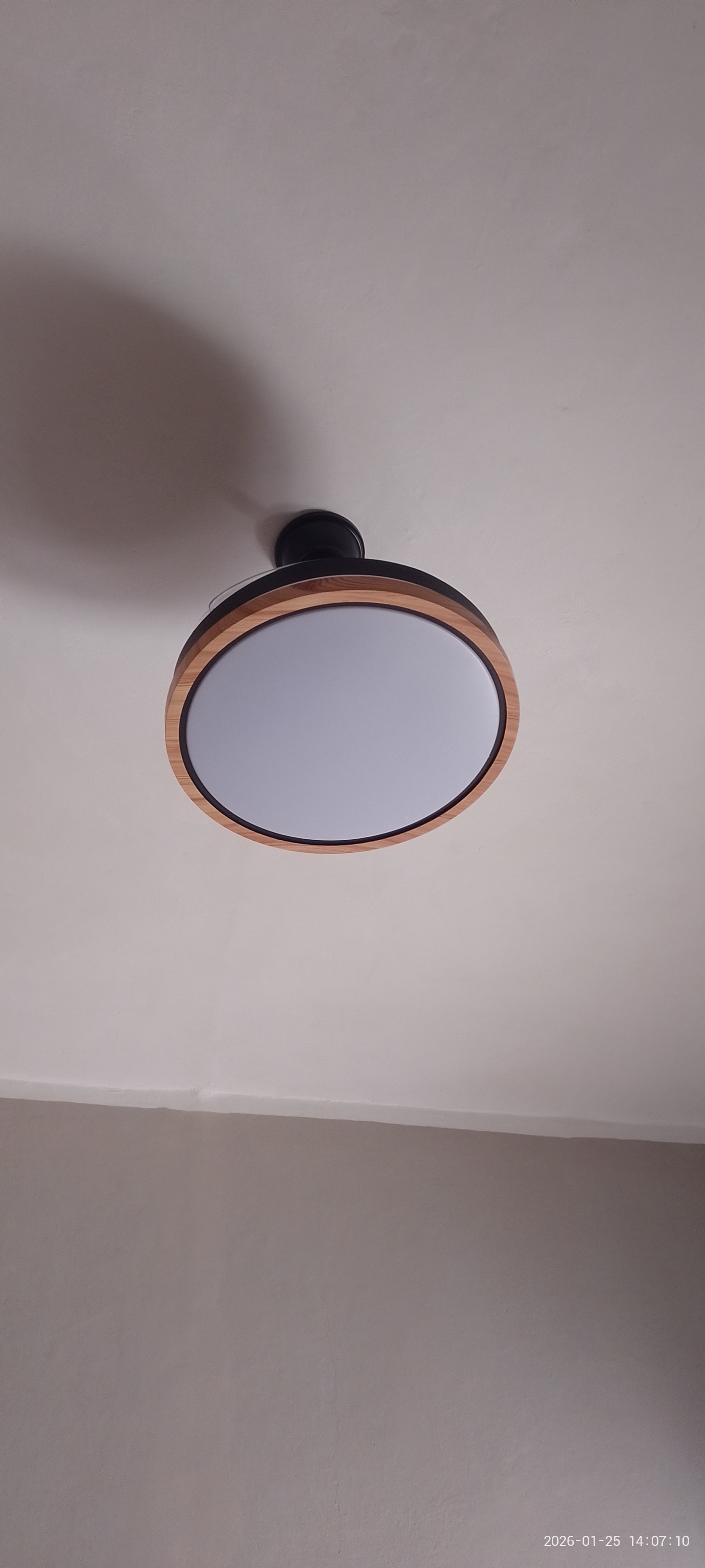 Ventilador de techo